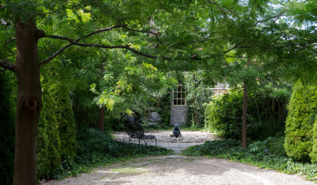 Backyard of the Week: Leafy Park-Like Retreat in Toronto