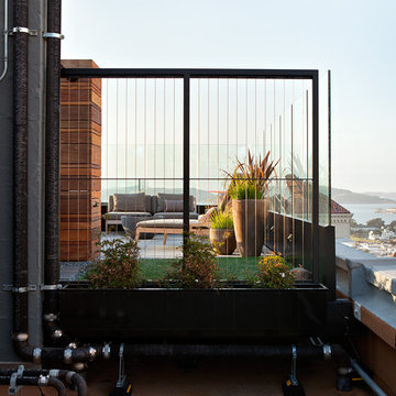 Pacific Heights Penthouse