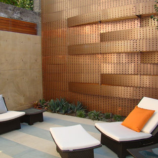 Patio - small contemporary courtyard concrete patio idea in San Francisco with no cover