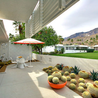 Example of a mid-century modern concrete patio design in San Francisco with a roof extension
