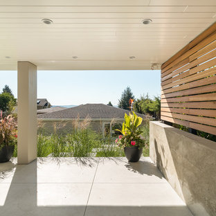 Idee per un patio o portico moderno di medie dimensioni e dietro casa con lastre di cemento e un tetto a sbalzo