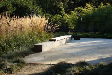 サンフランシスコにあるコンテンポラリースタイルのおしゃれな裏庭のテラス (天然石敷き、日よけなし) の写真