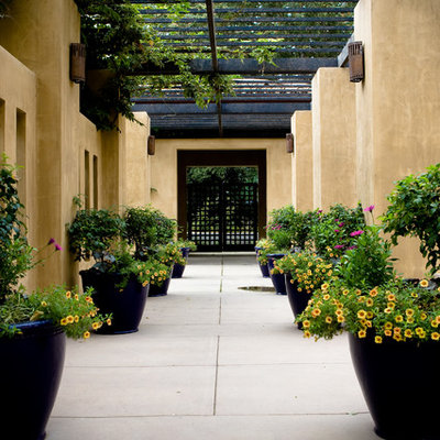 Tuscan patio photo in San Francisco with a pergola