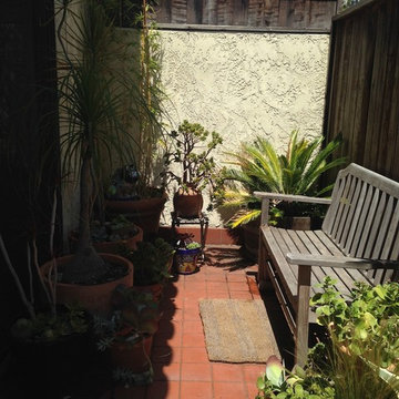 Patio Gardens