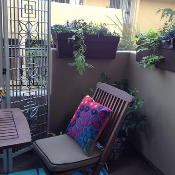 Patio Gardens