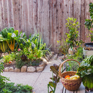 Immagine di un piccolo patio o portico tradizionale dietro casa con nessuna copertura