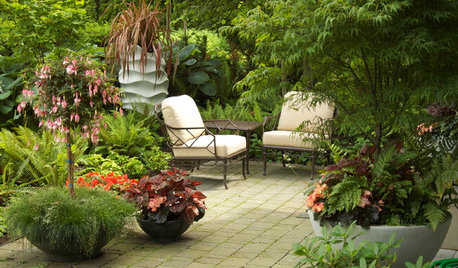 How to Get a Lush Look on Your Patio With Container Gardens