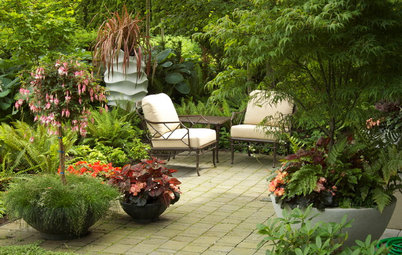 How to Get a Lush Look on Your Patio With Container Gardens