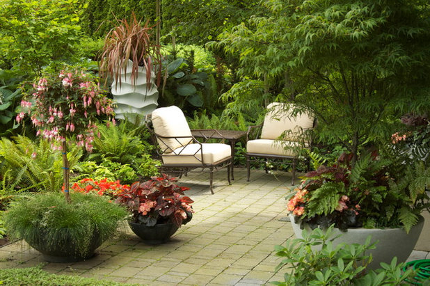 Traditional Patio by CYAN Horticulture