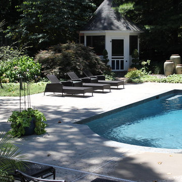 Pool & Backyard Renovation