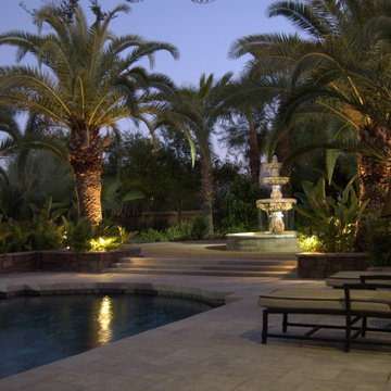 Pool area Lighting, Palm Tree & Brick Paver Pool Deck installation