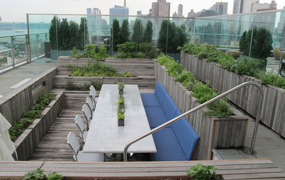 Lessons From an Edible Garden on a City Roof