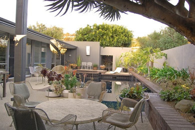 Photo of a midcentury courtyard patio in Orange County.
