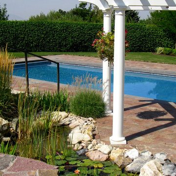 Pools and Patio Spaces