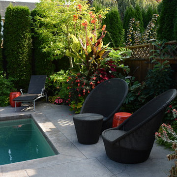 Poolside Garden and Containers