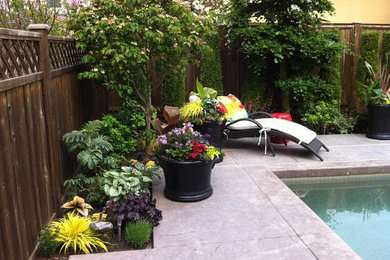 Patio - tropical patio idea in Vancouver