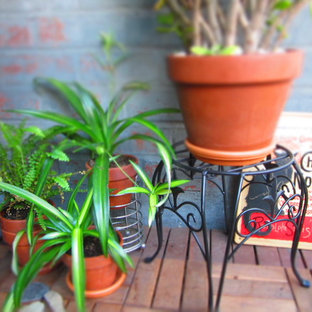 Example of a small trendy patio container garden design in New York with a roof extension