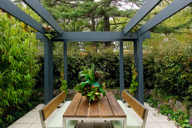 メルボルンにある小さなコンテンポラリースタイルのおしゃれな裏庭のテラス (コンクリート敷き	、パーゴラ) の写真