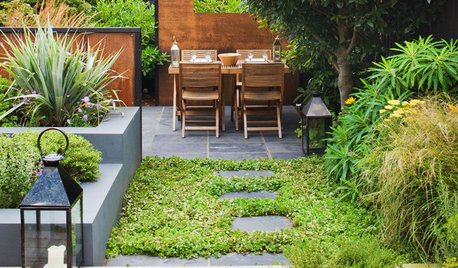 7 Path Ideas for Your Contemporary Garden