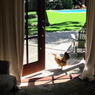 Raising Chickens in Santa Barbara California