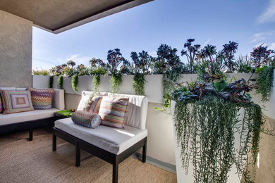 Example of a small beach style backyard concrete patio design in Los Angeles with a roof extension