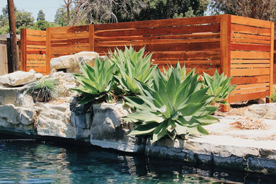 Example of a trendy patio container garden design in Orange County
