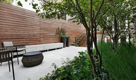 Garden Tour: Climbers, Trees and Terrace Space in a Petite London Plot
