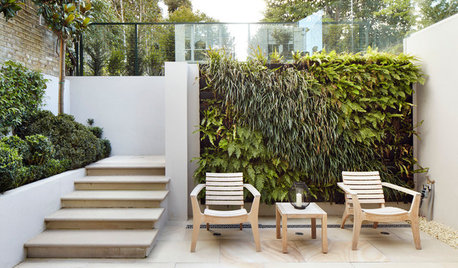 A Beginner’s Guide to Creating a Lush Living Wall in Your Garden