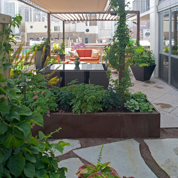 River North Roof Terrace