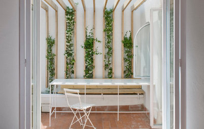 Fresh Ideas for Bringing Climbing Plants & Vines Into the Home