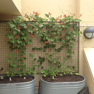 Esempio di un piccolo patio o portico minimalista in cortile con pedane e un tetto a sbalzo