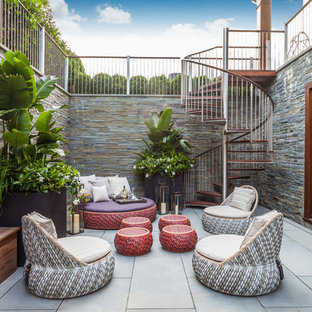 Idee per un patio o portico contemporaneo in cortile con nessuna copertura, pavimentazioni in cemento e un giardino in vaso