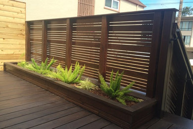 Patio container garden - mid-sized modern backyard patio container garden idea in San Francisco with decking and no cover