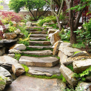 San Luis Obispo Woodland Garden