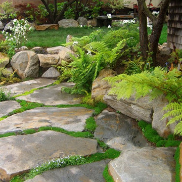 San Luis Obispo Woodland Garden