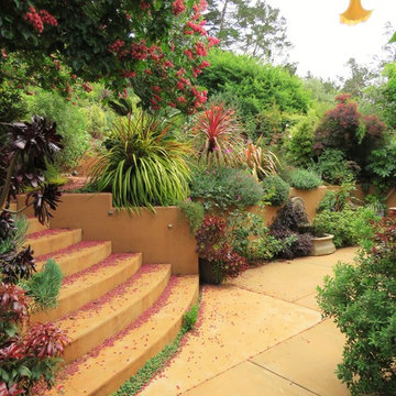 San Rafael CA Residential Garden