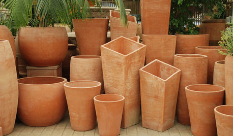 Beat the Frost With Natural Terra-Cotta Containers