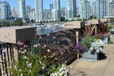 Elegant patio photo in Vancouver