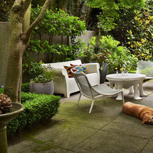 Exemple d'une petite terrasse latérale industrielle avec des pavés en béton.