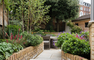 How to Create a Secluded Spot in an Urban Garden