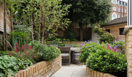 How to Create a Secluded Spot in an Urban Garden