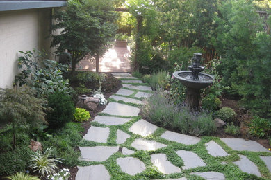 Patio - traditional patio idea in San Francisco