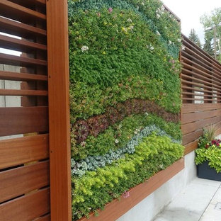 Immagine di un grande patio o portico contemporaneo dietro casa con pavimentazioni in cemento e nessuna copertura