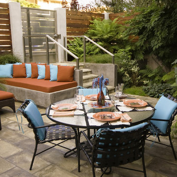 Serene Backyard