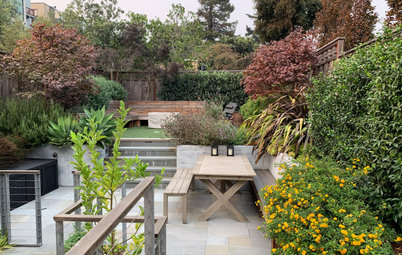 How to Make the Most of a Small Yard