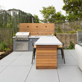 Foto di un patio o portico contemporaneo dietro casa con pavimentazioni in cemento e nessuna copertura
