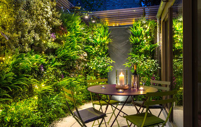 Everything You Need to Know About Garden Lighting