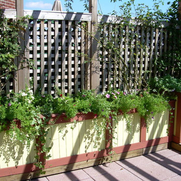 Small Soho Terrace Garden