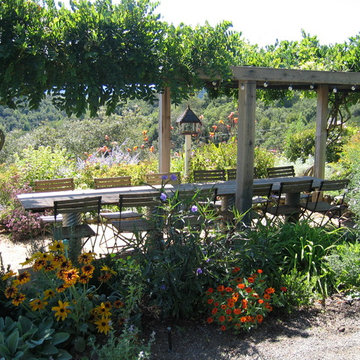 Sonoma Winery Home