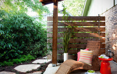 The Best Winter Garden Project? Plan for Next Year